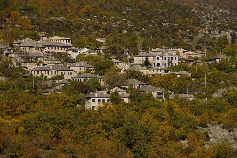 monodendri